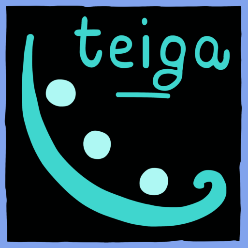 Teiga srls